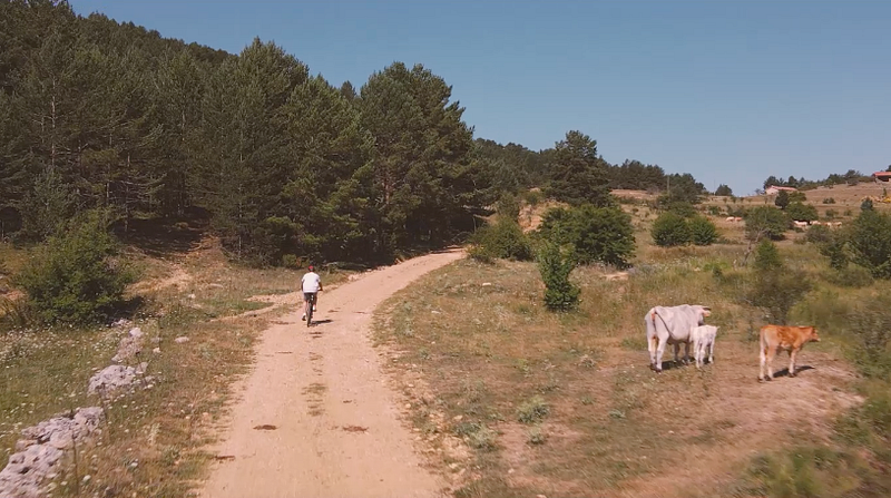 Descubre la Comarca de Gúdar-Javalambre: Naturaleza, Aventura y Gastronomía en el Sur de Aragón