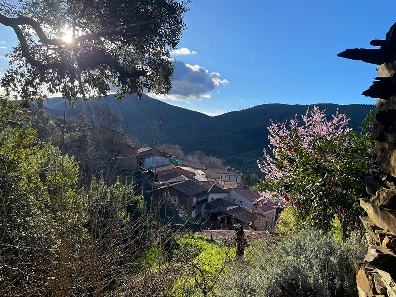 Gastronomía rural en España: actividades que no puedes perderte 🍷🧀🥘