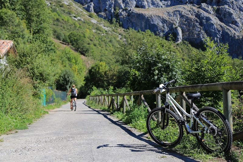 Senda del Oso en bicicleta, Centro BTT Valles del Oso: Cicloturismo en Asturias