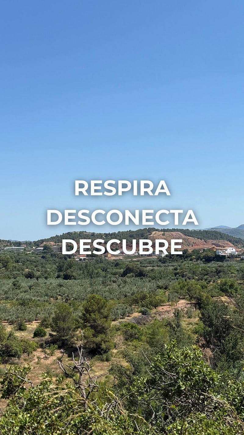 No somos ZigZag, somos ZigZig